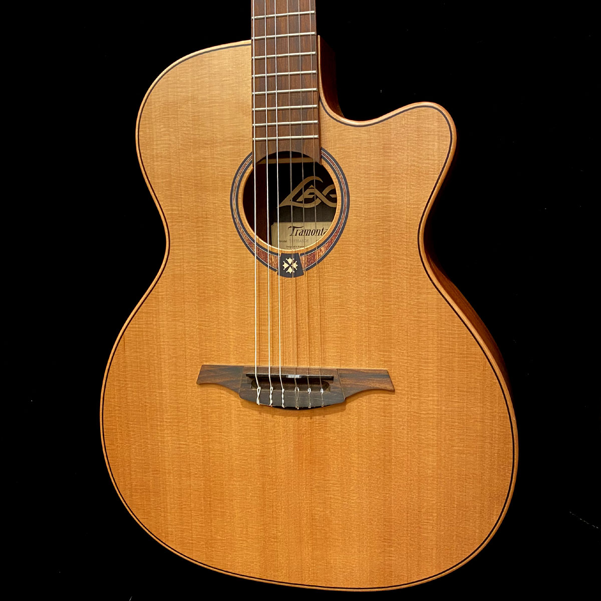 TN-170ASCE