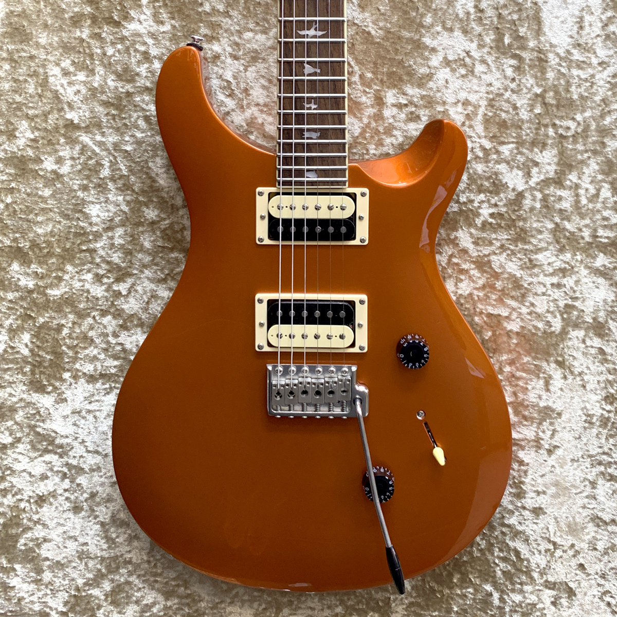 SE Standard 24　2020年製
