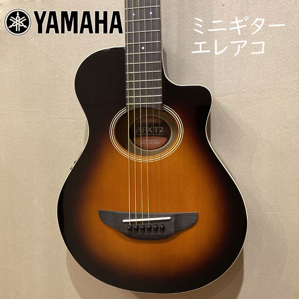 下倉楽器ウェブショップ / エレアコ