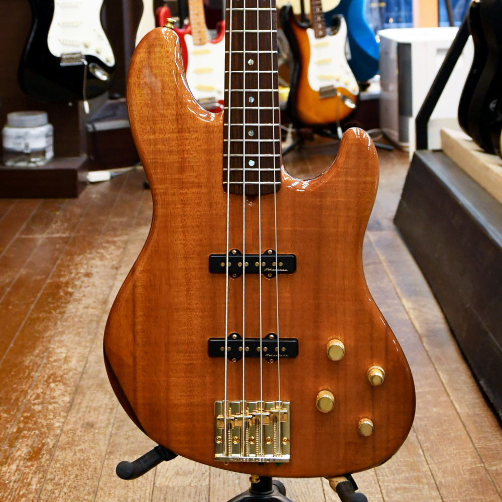 Victor Bailey Jazz Bass