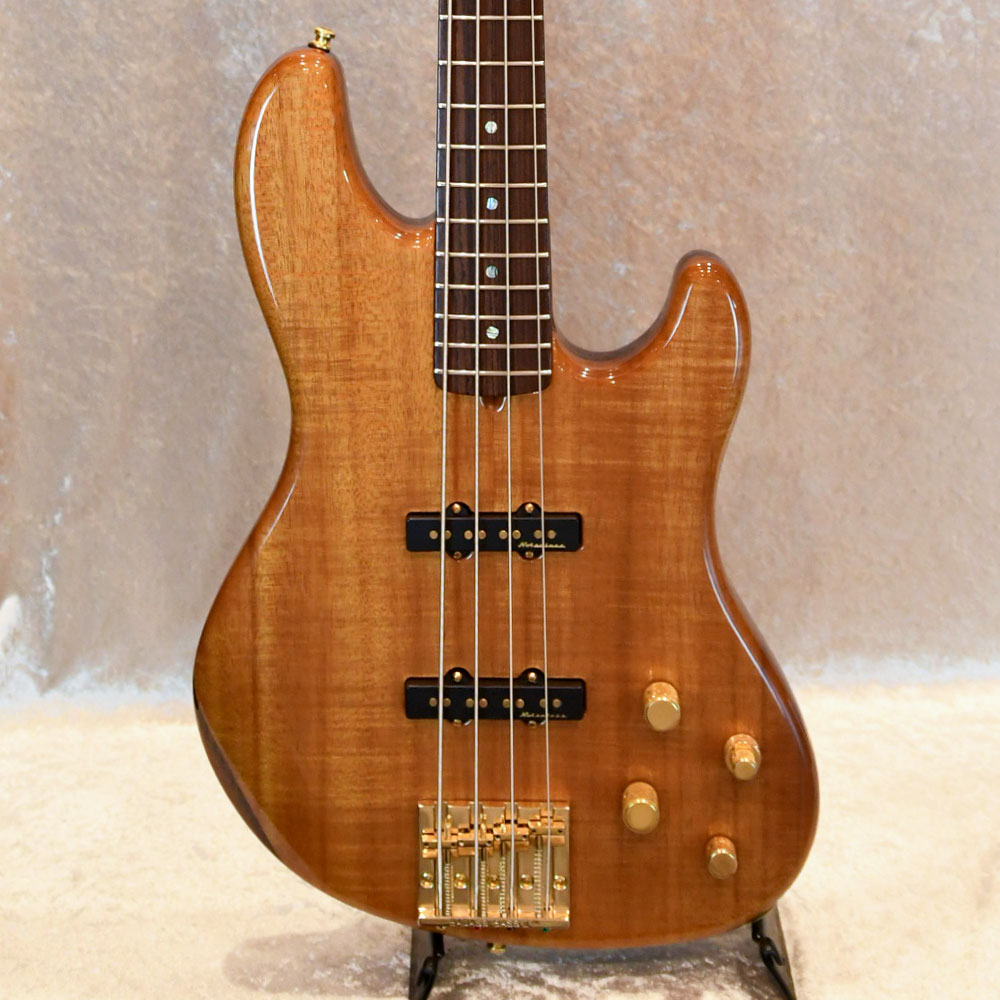 Victor Bailey Jazz Bass
