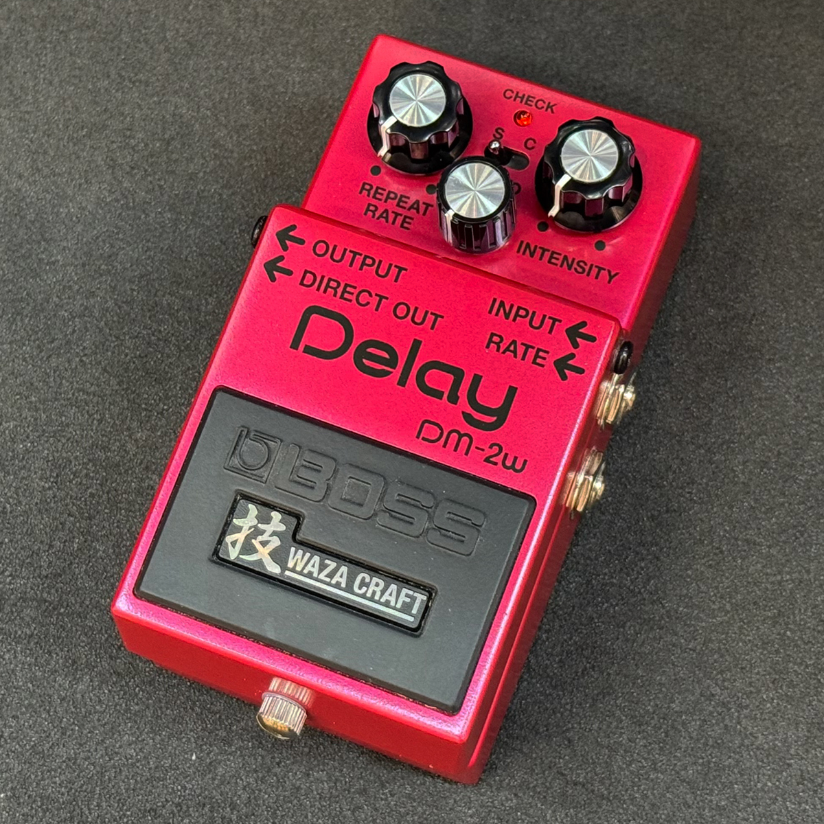 DM-2W Delay