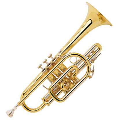 Cornet 181MLGL