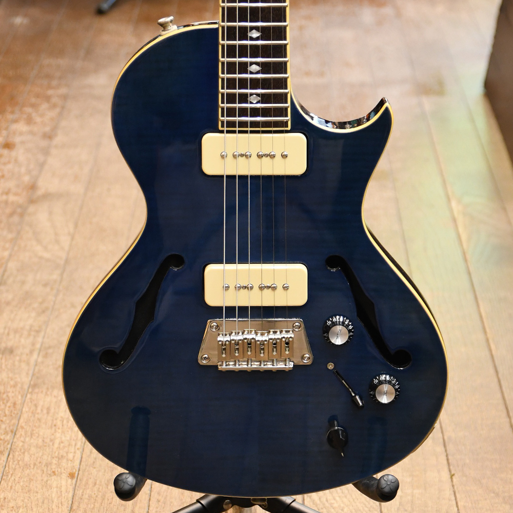 Blues Hawk Deluxe