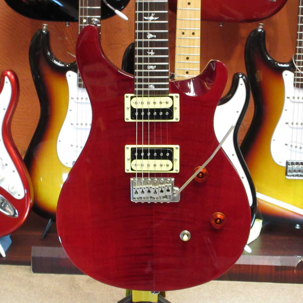 SE Custom 24