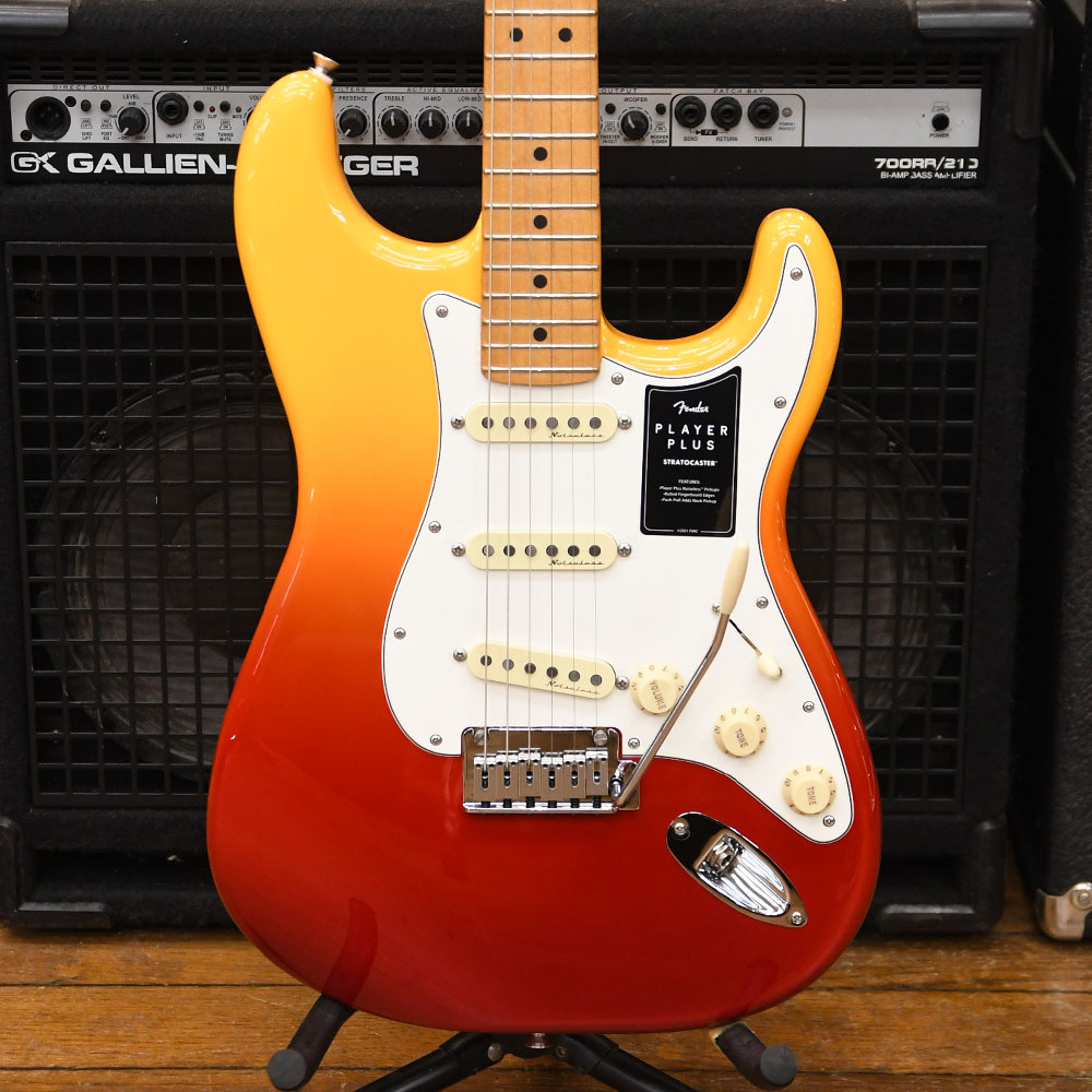 Player Plus Stratocaster