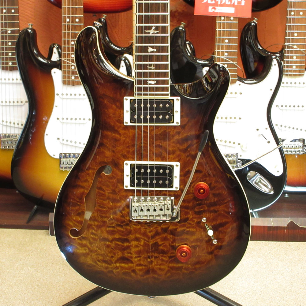 SE Custom Semi-Hollow Quilt