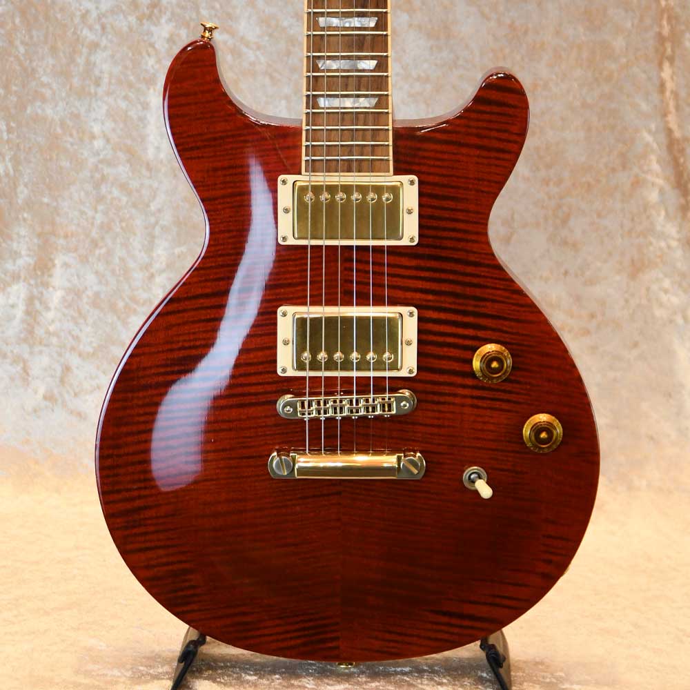 Les Paul Standard DC Plus
