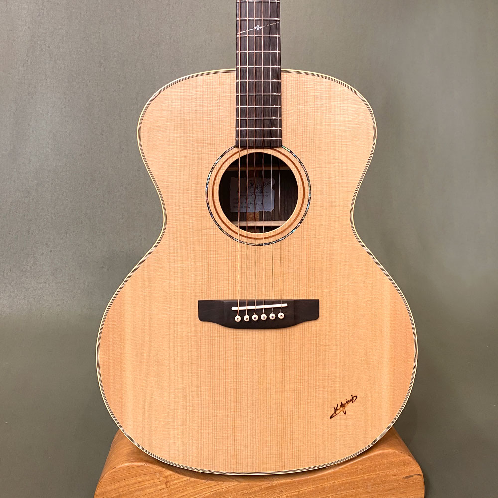 BL-95A SG N