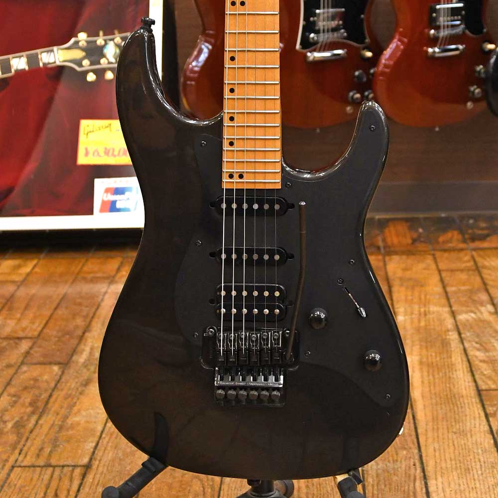 BHS-100