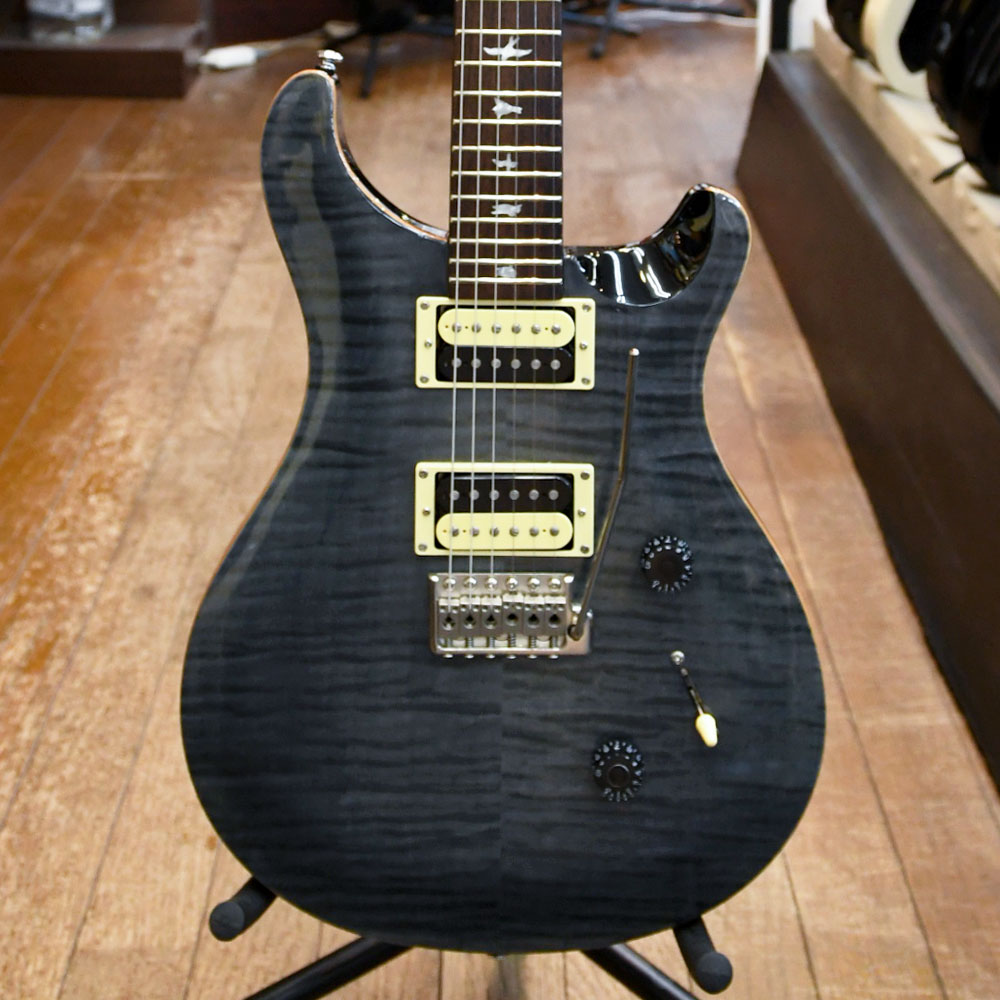 SE Custom 24