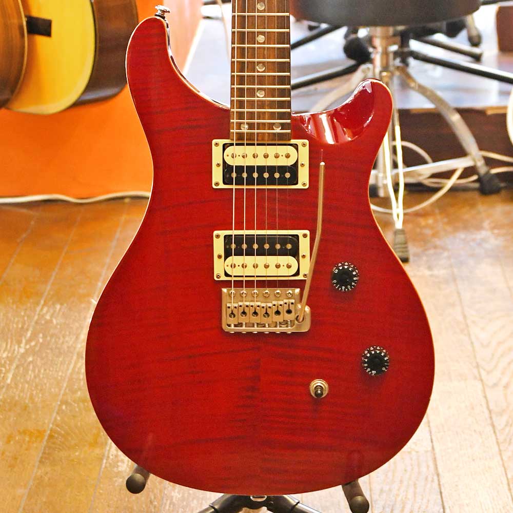 SE Custom 24