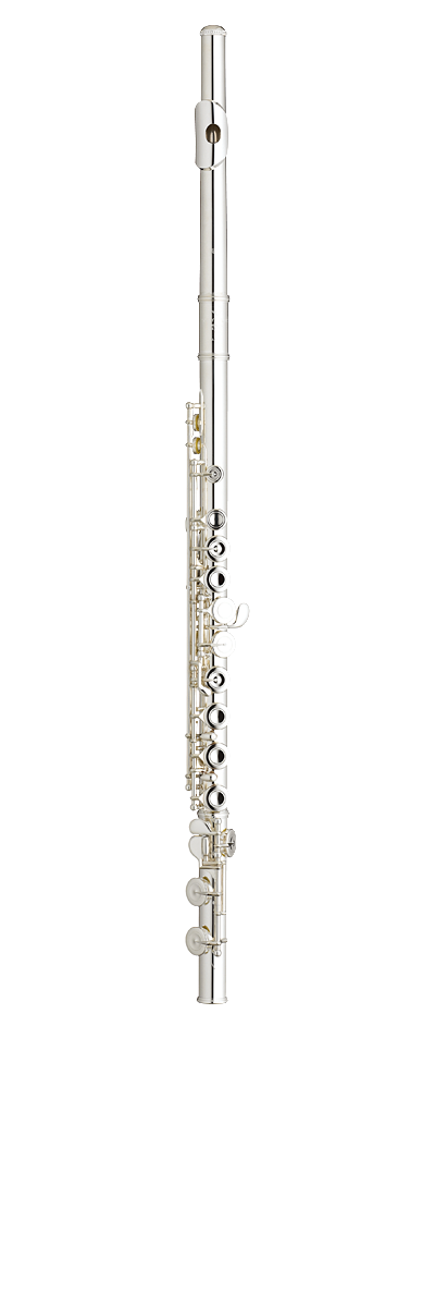 Etude CC  (NEL)
