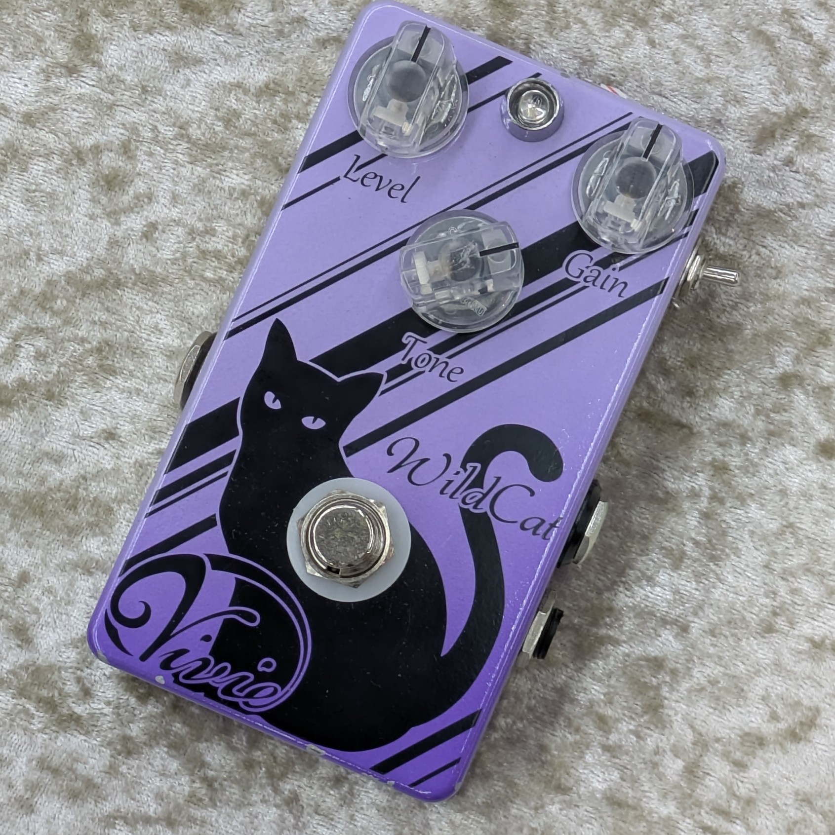 WildCat