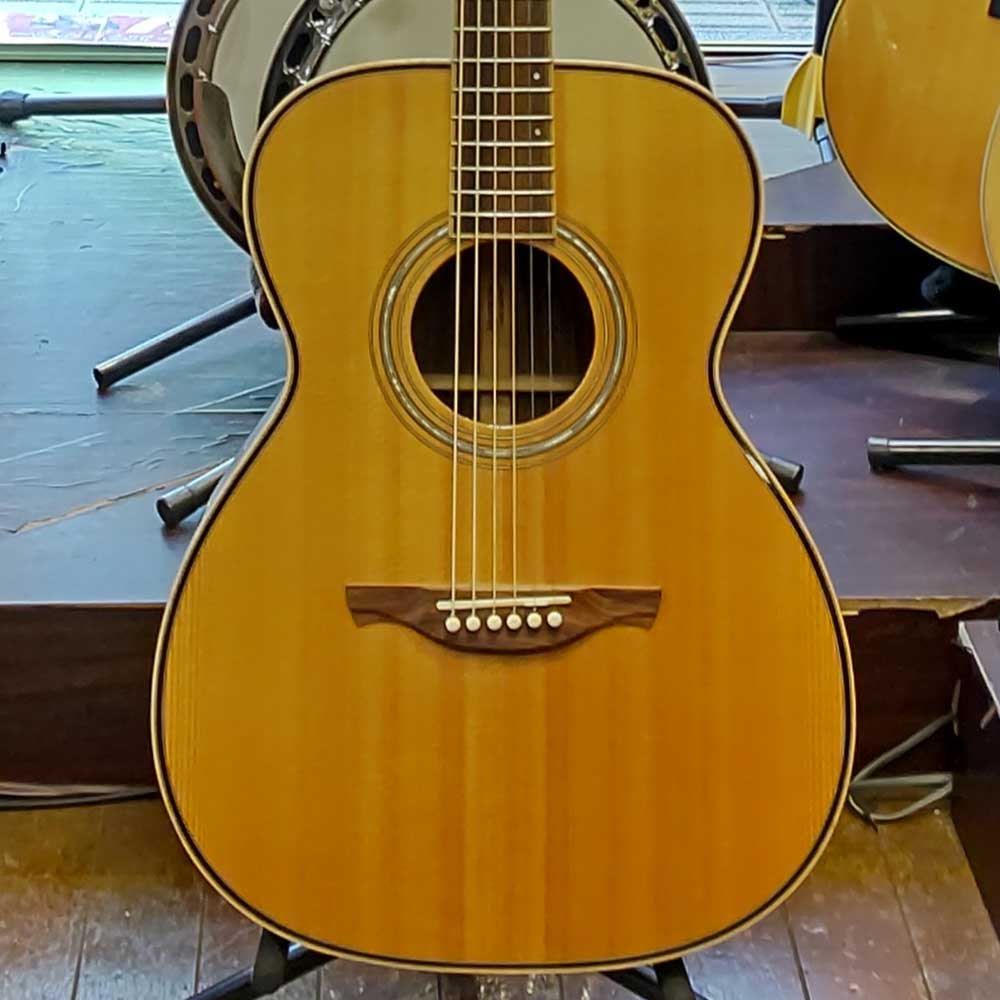 NT-S3