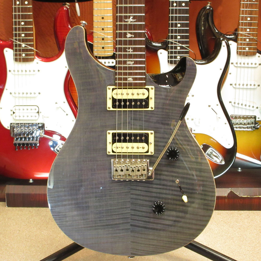 SE Custom 24