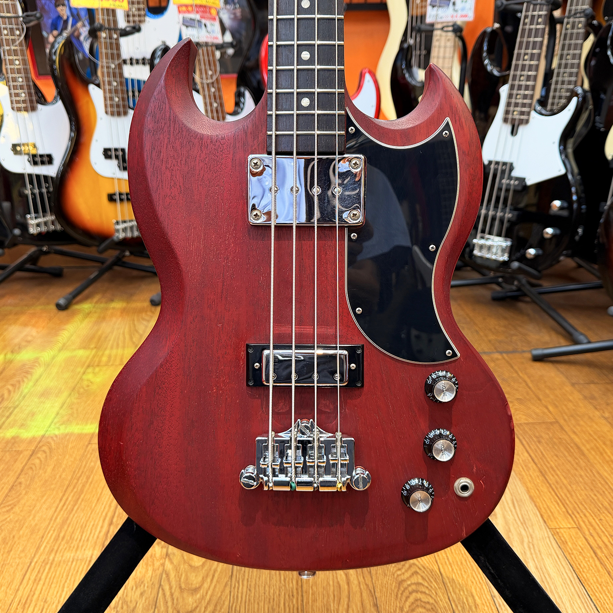 SG-STD BASS