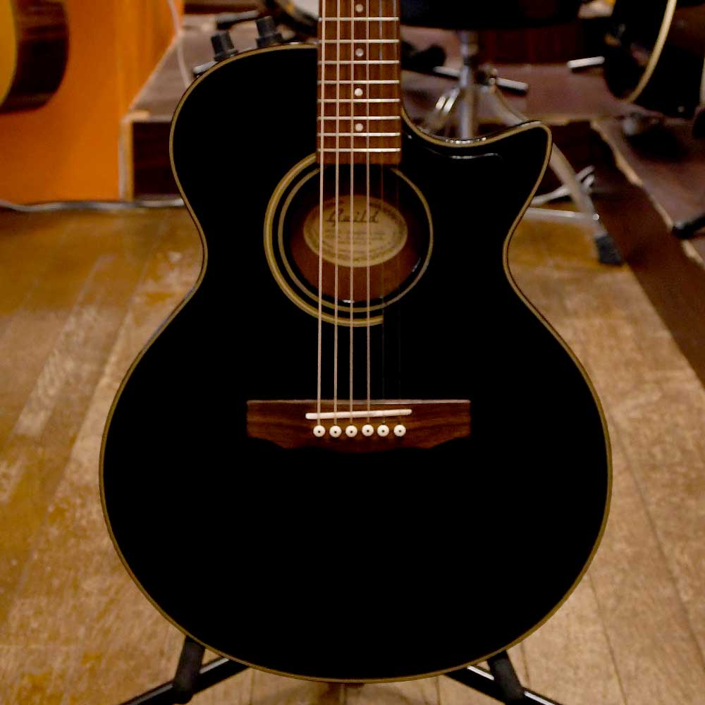 Songbird