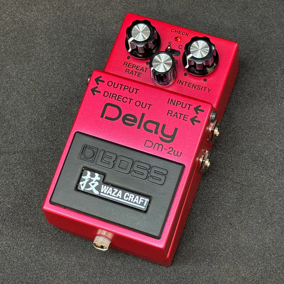 DM-2W Delay