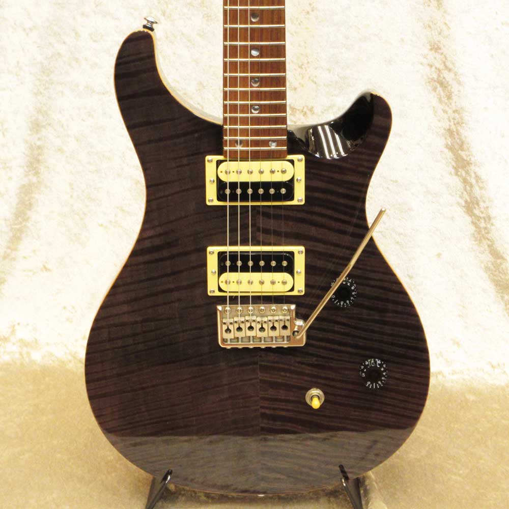 SE Custom 24