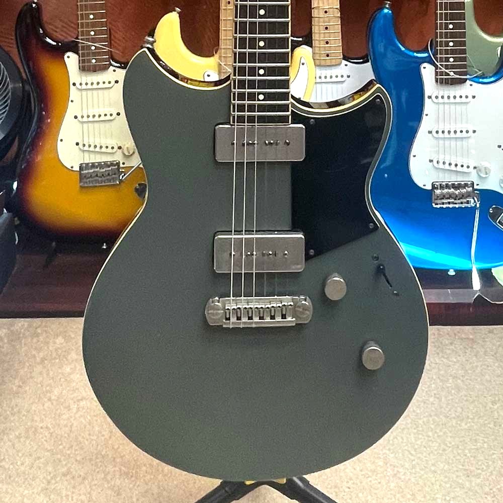 RS502