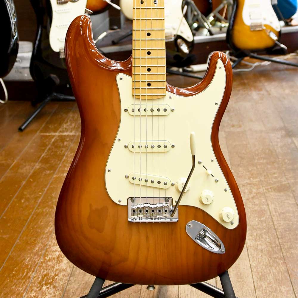 American Professional II Stratocaster