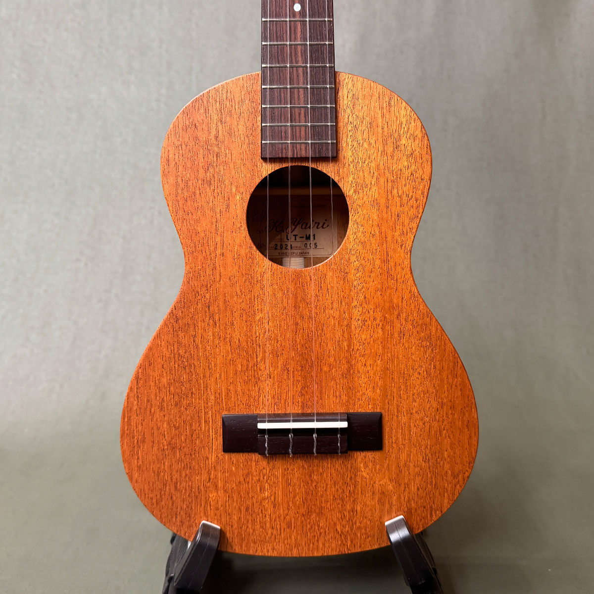 UT-M1