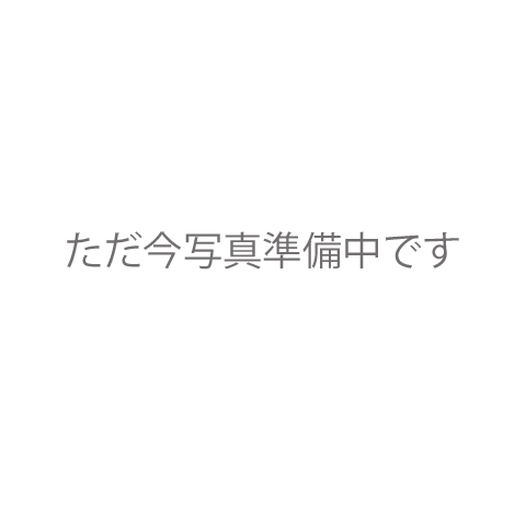 【事前連絡のお客様専用】ピックガード特注